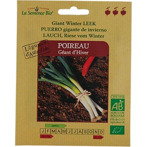 Graines Bio - Poireau Géant D'Hiver - Semence Biologique