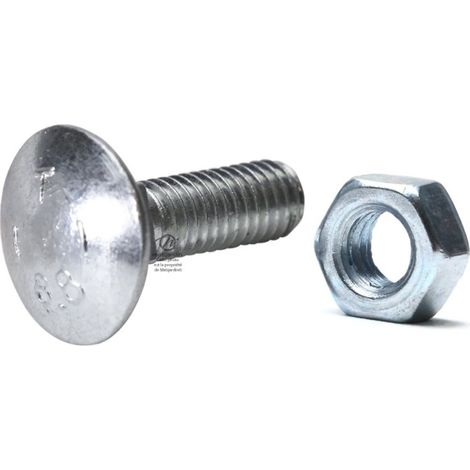 Boulons à tête bombée et collet carré. Pour Etesia 26157 pas à droite (1/4)