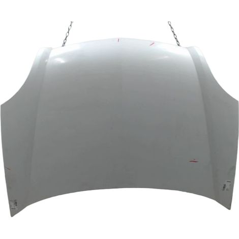 Capot RENAULT Kangoo Express I Phase 2 2003-2010 [PRODUIT D'OCCASION]♻️7751474868 (1/3)