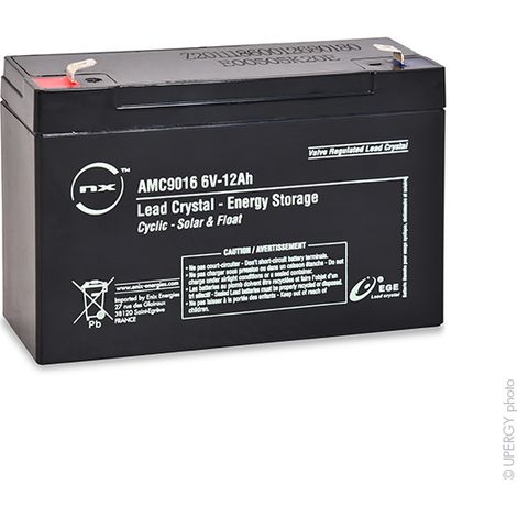 NX - Batterie lead crystal 3-CNFJ-12 6V 12Ah F6.35 (1/2)