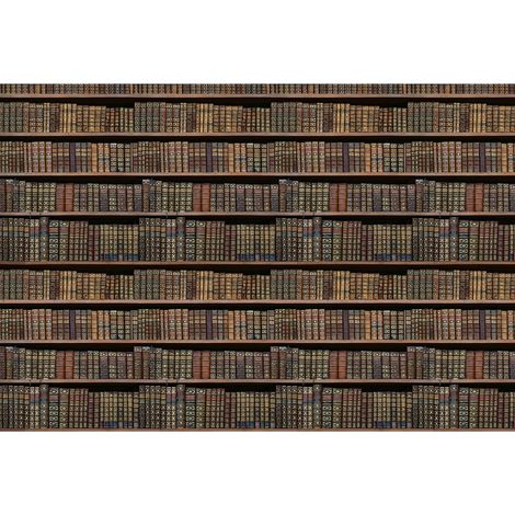 Papiers peints panoramique bibliothèque | Tapisserie panoramique livres anciens | Papiers peints panoramiques vintage pour bureau - 270 x 400 cm (4 pièces) (1/2)