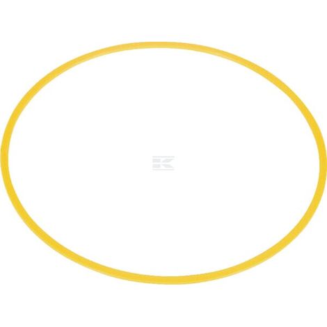 Anillo 117,0x123,2-117,8x124,0 SEALTECH 10PBK247