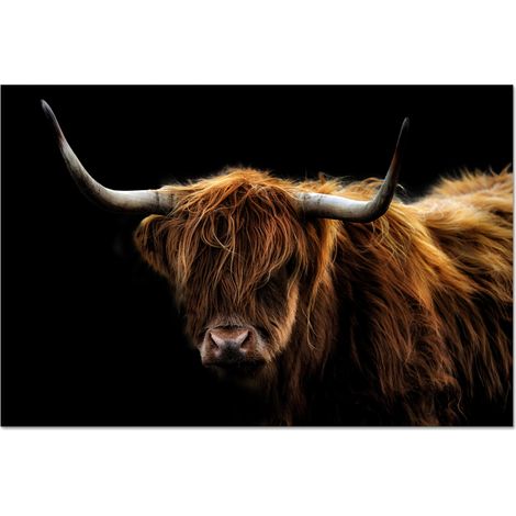 CRÉDENCE DE CUISINE Highlander écossais - Cornes - Noir - Animaux - Nature - Sauvage - Vache 70x50 (1/5)