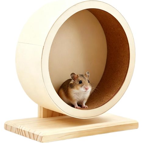 Roue en bois de 20 cm de diamètre pour hamster avec bande de roulement fermée en liège, accessoire pour hamster, jouet silencieux pour totoro, écureuil, petit animal de compagnie (1/5)
