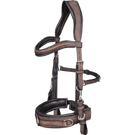 Cavesson Waldhausen anatomic Leder anatomisch gepolstert (1/2)