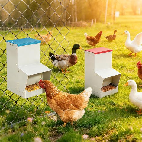 Distributeur De Nourriture pour Poules 10L en Métal, Anti Pluie, Exterieur (1/5)