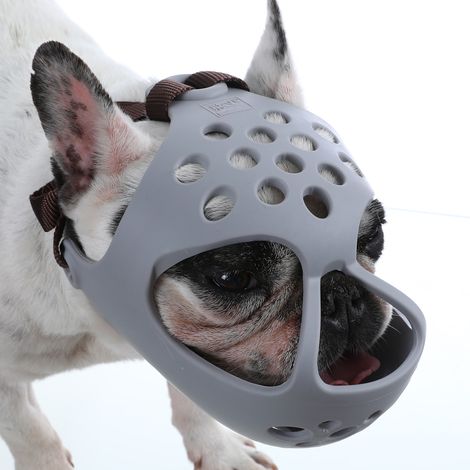 Bozal para perros de hocico corto, con orificios de ventilación, resistente a mordeduras y masticación. (1/5)