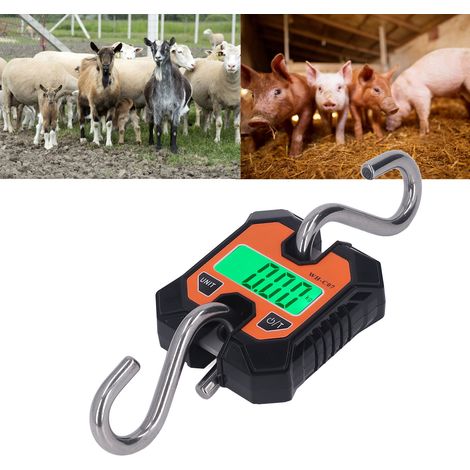 Balance numérique portable WH-C07 pour grues industrielles, 100 kg / 220 lbs, avec écran LCD. (1/5)