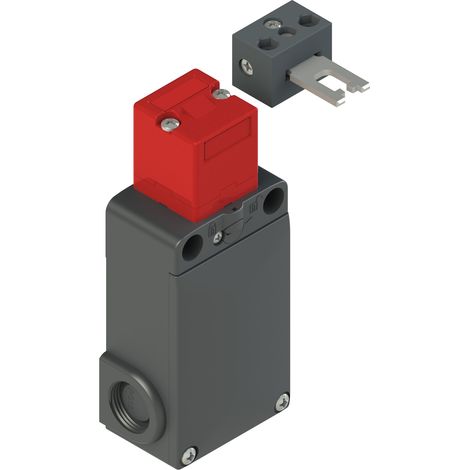 Interruttore Di Sicurezza Ad Azionatore Separato Con Blocco Serie Fs