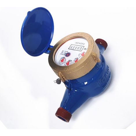 Compteur d'eau de robinet à rotor DN15, sortie d'eau froide sèche, pour boîtier en fer domestique (1/5)