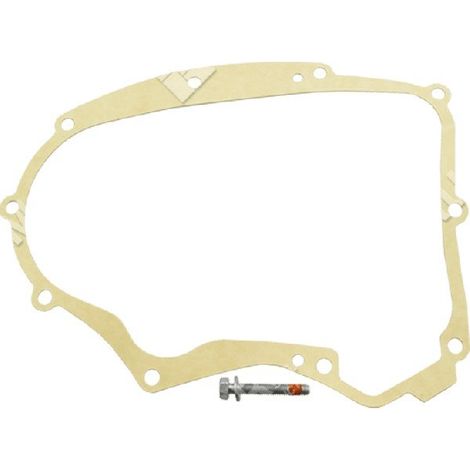 Kurbelgehäusedichtungssatz BRIGGS & STRATTON 594195 - 049951