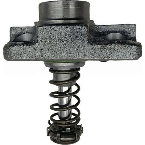 F01M101781 Pièces de moteur Piston de pompe à injection Common Rail Pièces automobiles (1/5)