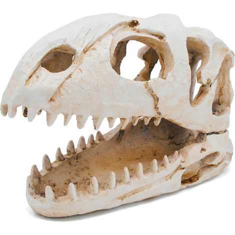 Decoration Terrarium Squelette Dinosaure Décoration D'Aquarium Décor Paysagère pour Aquarium Crane Tete De Mort Halloween Decoration Deco Crâne (1/5)