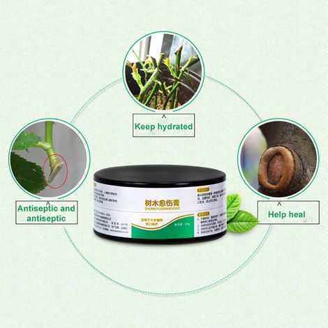 50 g de mastic cicatrisant pour plantes, agent de cicatrisation des plaies pour bonsaïs, pâte de taille pour arbres (1/5)