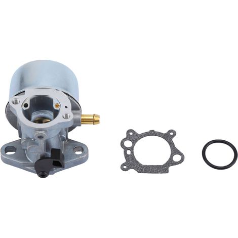 Carburador para 497586 498170 799868 498254 497314 (1/5)