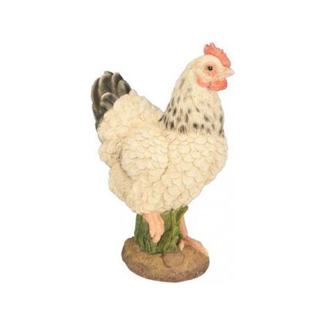 POULE PM BLANCHE