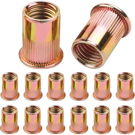 100 Pièces Écrous M6 à Sertir, Insert M6 Rivet Fileté, Écrous à Riveter Fileté à Tête Plate au Acier Carbone Zinc, Aveugle Rivet Fileté Écrous à Rivets Aveugles Rivet Inserts Filetés Pour (1/5)