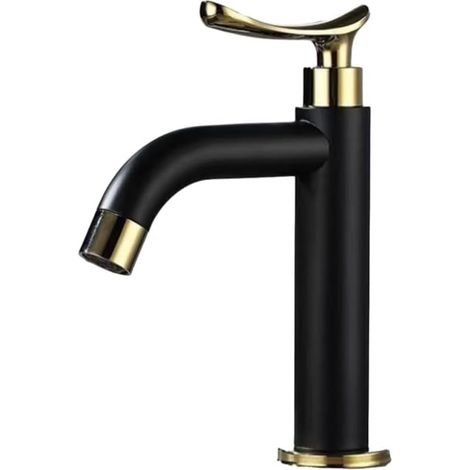 Mitigeur sanitaire, inox 304, noir, monocommande, eau froide (1/5)