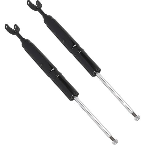 2x Amortiguador delantero for Audi A6 4F2 C6 4F5 2.0 2.7 3.0 TDI 2.8 FSI (1/4)