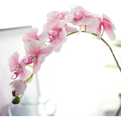 4 pièces tiges d'orchidées artificielles Real Touch Orchid Hauteur Faux Phalaenopsis Fleur Fleur Artificielle pour la Maison de Mariage décoration Florale Rose clair