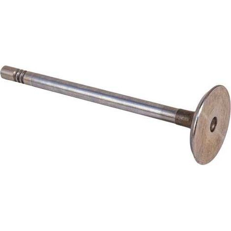 SOUPAPE D'ADMISSION - MOTEUR LOMBARDINI DCI 492 DCI 442 HDI 480 (1/3)