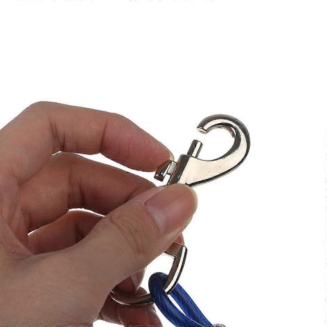 Laisse d'attache résistante pour chien de petite et moyenne taille, 3 mètres, bleue (1/4)