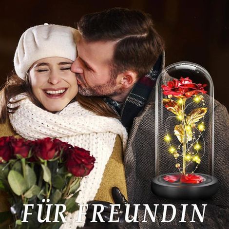 Rose Éternelle sous Cloche avec LED – Rose Rouge Belle et la Bête, Cadeau Femme Saint-Valentin Anniversaire Noël pour Maman Épouse (1/4)