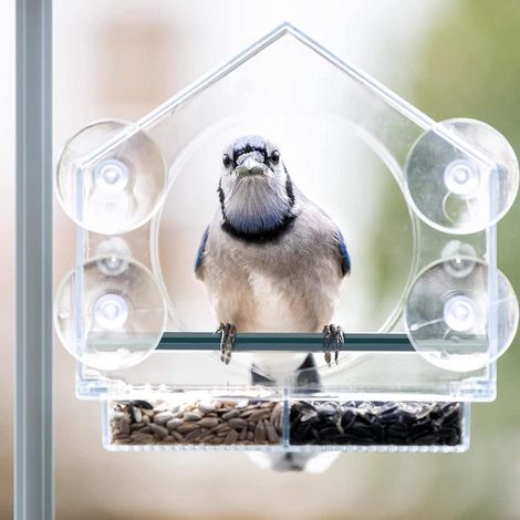 Suction Cup Small Cage Shaped Window Bird Feeder 21.5×20.5×10cm  Balcony Wild Bird Feeding (1/5)
