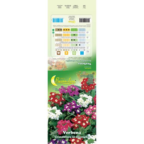 SEMI GARDEN VERBENA HYBRIDA- 10,0 pz
