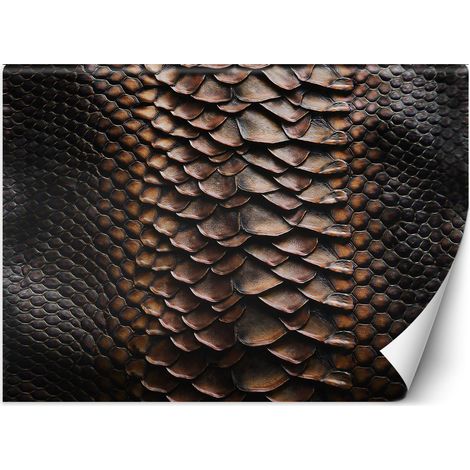 Fototapete Schlangenhaut 100x70 cm