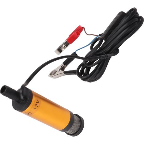 Pompe de transfert d'huile 12 V avec filtre, construction robuste et pompe de transfert électrique intégrée. (1/5)