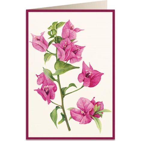 Karte B6 + Umschlag 5934 Bugenvillea 2
