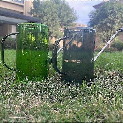 Arrosoir à long bec 2025 en acier inoxydable pour plantes de jardin (1/5)