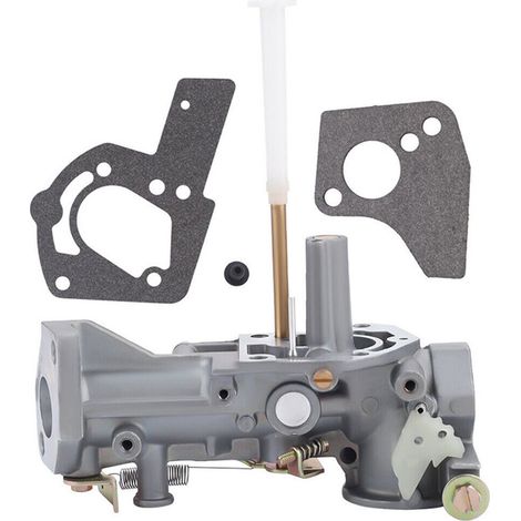 Convient pour carburateur Briggs & Stratton 495459 495460 499952 499953 5HP (1/4)