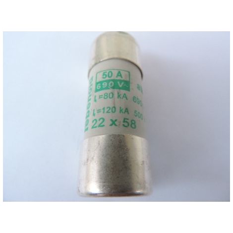 Fusible 50A cartouche 22X58mm aM usage industriel (boite de 10) HPC 80kA 660V sans percuteur EBENOID 060450 (1/3)