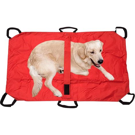Civière de Transport pour Le Chien - Brancard Porte - Animaux - Léger pour (1/5)