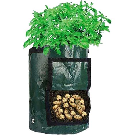 Sac de plantation en PE, vert foncé, 5 gallons, pochette de culture respirante, outil de jardinage (1/5)