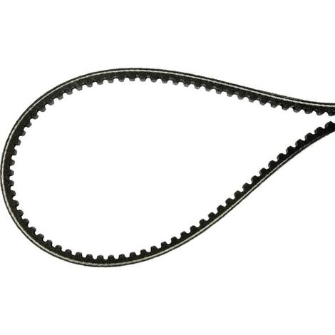 Courroie trapézoïdale AS-MOTOR E11799ASM (1/2)