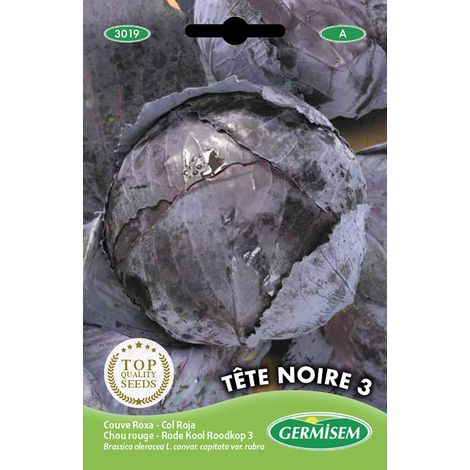 graines Chou rouge TÊTE NOIRE 3