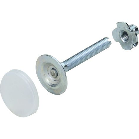 Lot De 2 Vis De Réglage Écrou Acier Zingué Hettich, L.60 Mm