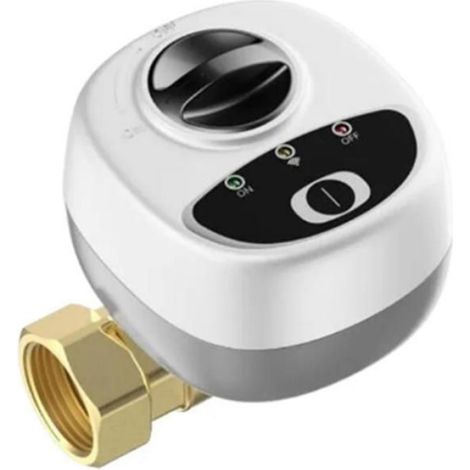Vanne d'eau WiFi - DN25 - Contrôle Intelligent par Application - Alarme et Liaison Domotique - 1 Pièce (1/3)
