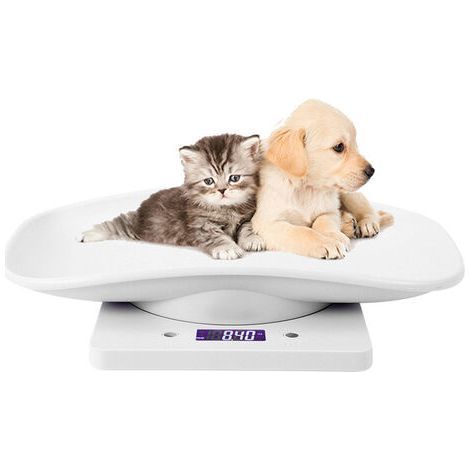 Balance Électronique pour Animaux de Compagnie. Petit Balance Numérique. 10kg/1g écran LCD Balance Précision Mesure Outil Pesage pour Cuisine Chaton Chiots Tortue Hamster (1/5)