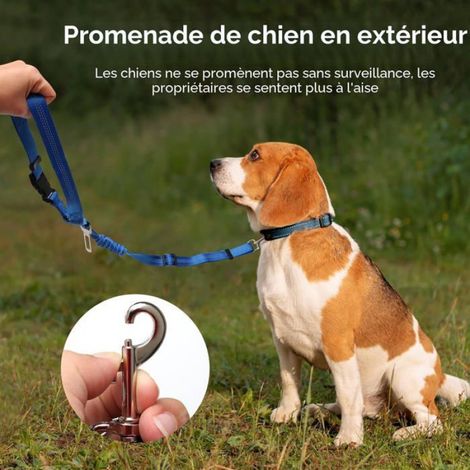 Bac À Litière - Double Couche - Pour Lapins Et Petits Animaux - En PP - Avec Pelle Et Balai - 1 Pièce (1/5)