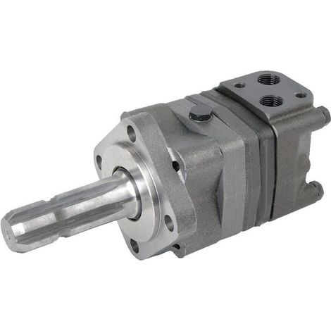 Moteur orbital DANFOSS OMS125151F0562 (1/5)