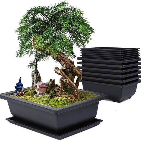 Lot de 6 Pot pour Bonsai avec Soucoupe, 16x12x6cm Pots de Fleurs en Plastique avec Outillage de Jardin, Pot Bonsai Rectangulaire avec Trou d'échappement pour Jardins Balcon Extérieur Intérieur (1/5)
