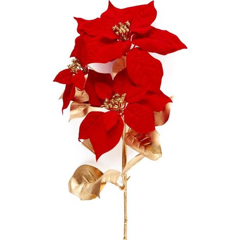Ramo con stella di Natale D22 x H75 cm rosso con stelo dorato Mercury