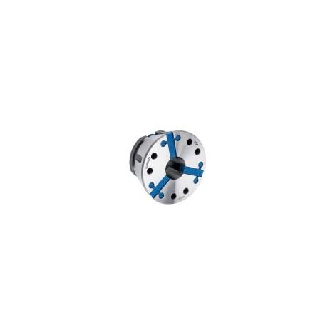 Röhm SPANNZANGE CAPTIS GT 80 D30,0 - 1274052