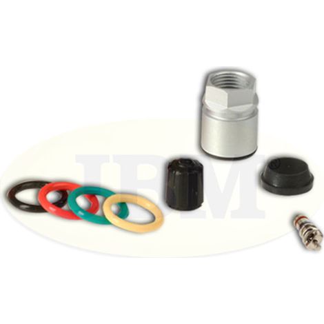 REMPLACEMENT DU KIT TPMS SCHGEN 2/3  JBM12908