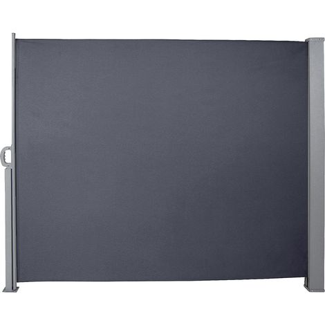 SWANEW Tende da sole laterali estensibili 160x300 cm Privacy protezione del vento protezione solare rullo laterale in alluminio cieco grigio (1/5)