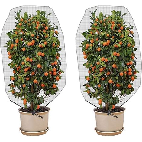 2 pièces par ensemble de sac de protection pour filet d'arbre (11,5M) (1/5)
